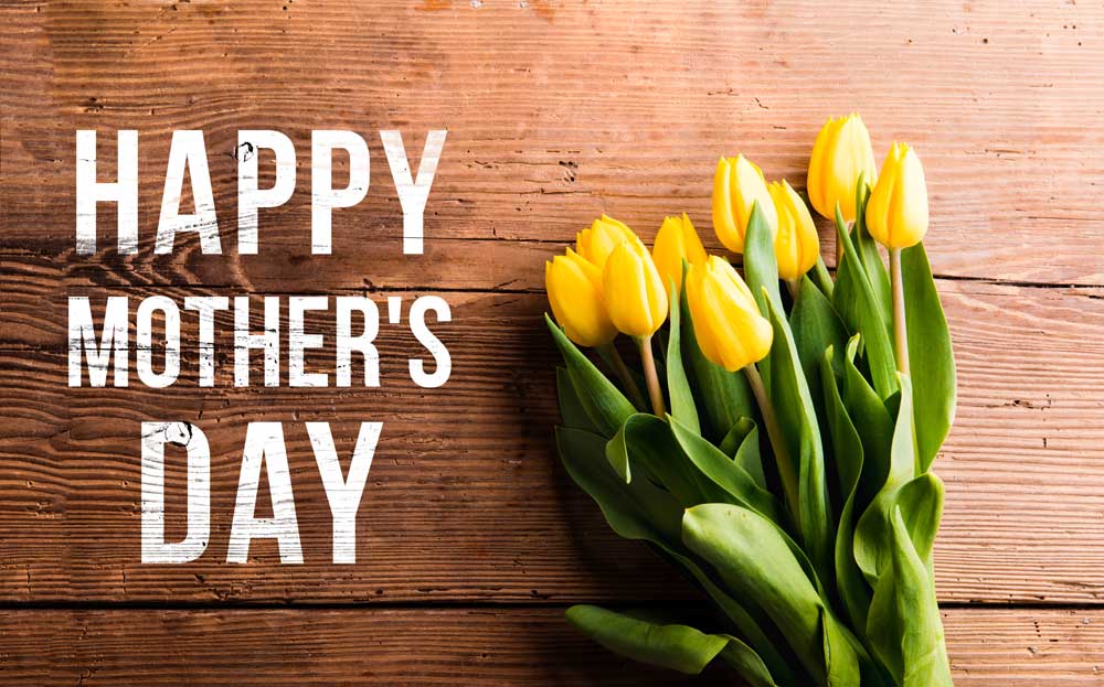 Celebrating the Strength That Builds Families